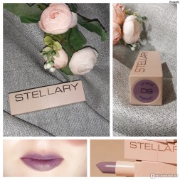 Stellary Помада для губ Устойчивая RICH NUDE тон 09 лилово-розовый нюд
