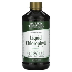 Liquid Chlorophyll Buried Treasure 496ml