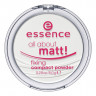 Essence/ Пудра рассыпчатая all about matt! fixing loose powder