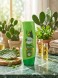 Vatika Кондиционер   Cactus and Gergir