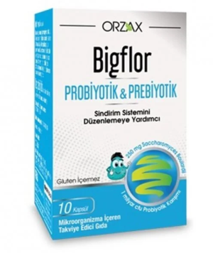 ORZAX/ Bigflor Probiyotik 10kap
